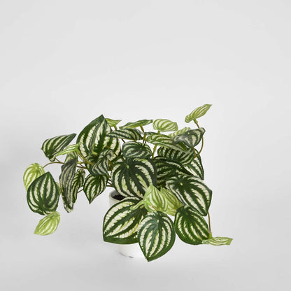 Real Touch Hanging Watermelon Peperomia in White Pot