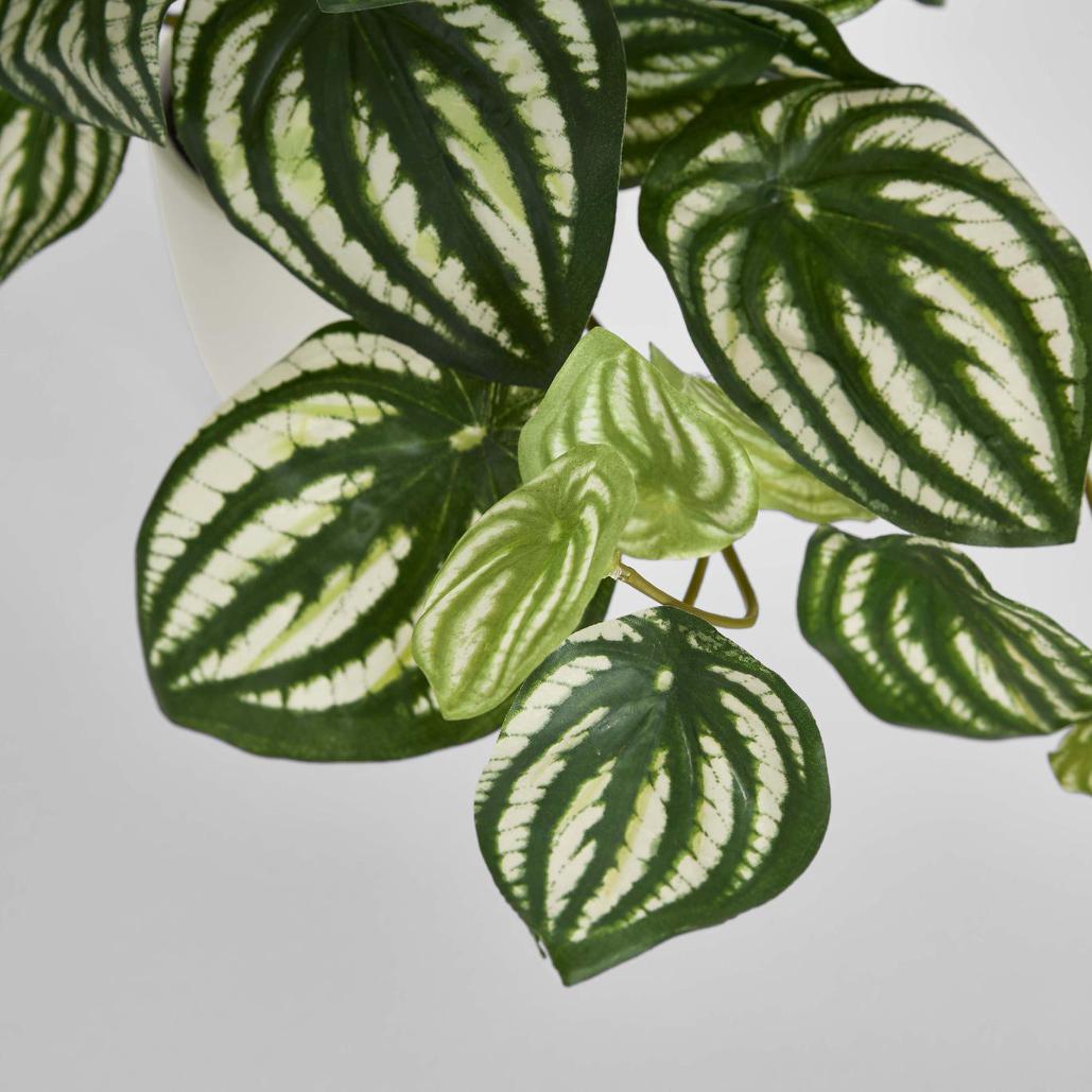 Real Touch Hanging Watermelon Peperomia in White Pot