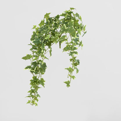 Real Touch Hanging Variegated Sage Ivy Bush