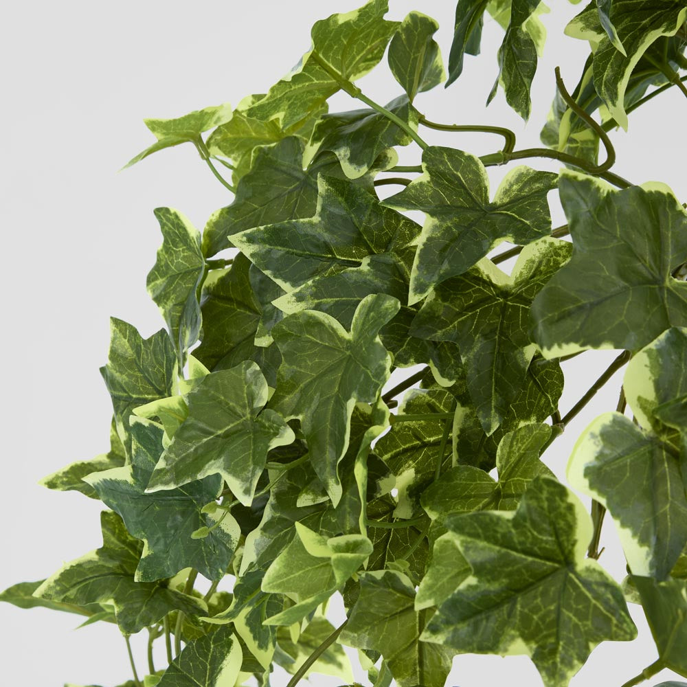 Real Touch Hanging Variegated Sage Ivy Bush