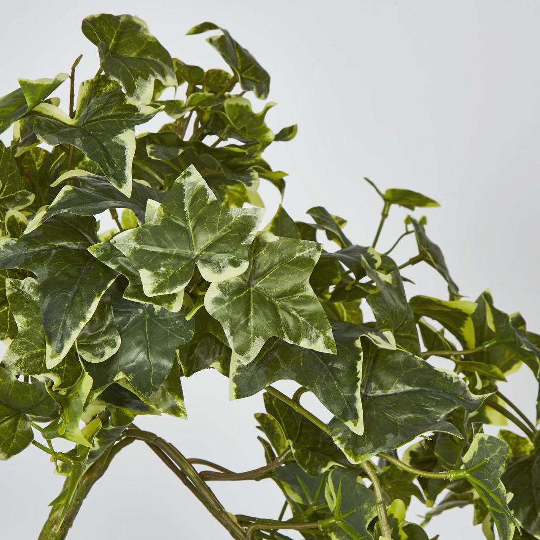 Real Touch Hanging Variegated Sage Ivy Bush