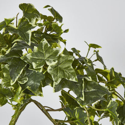 Real Touch Hanging Variegated Sage Ivy Bush