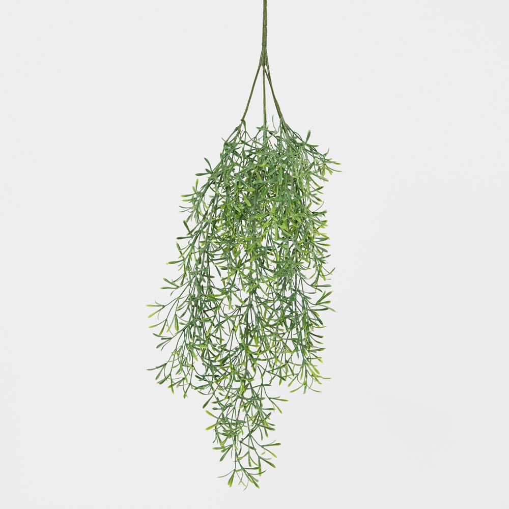 Springeri Hanging Vine Green 66cm