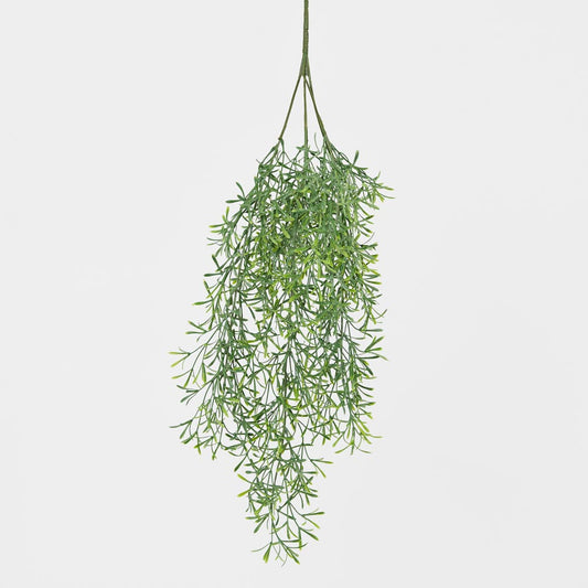 Springeri Hanging Vine Green 66cm