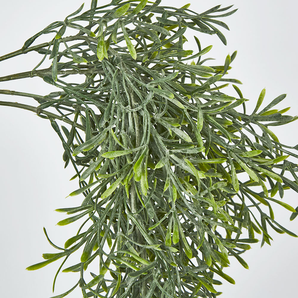 Springeri Hanging Vine Green 66cm