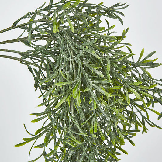 Springeri Hanging Vine Green 66cm