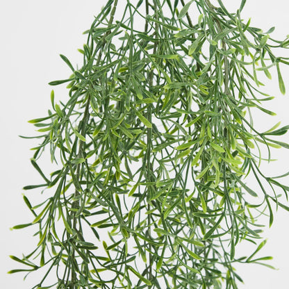 Springeri Hanging Vine Green 66cm