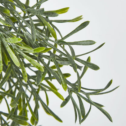 Springeri Hanging Vine Green 66cm