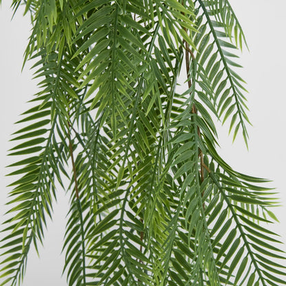 Hanging Pitch Pine Bush