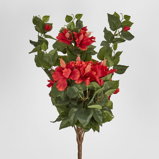 Red Hibiscus Bush with 10 flowers