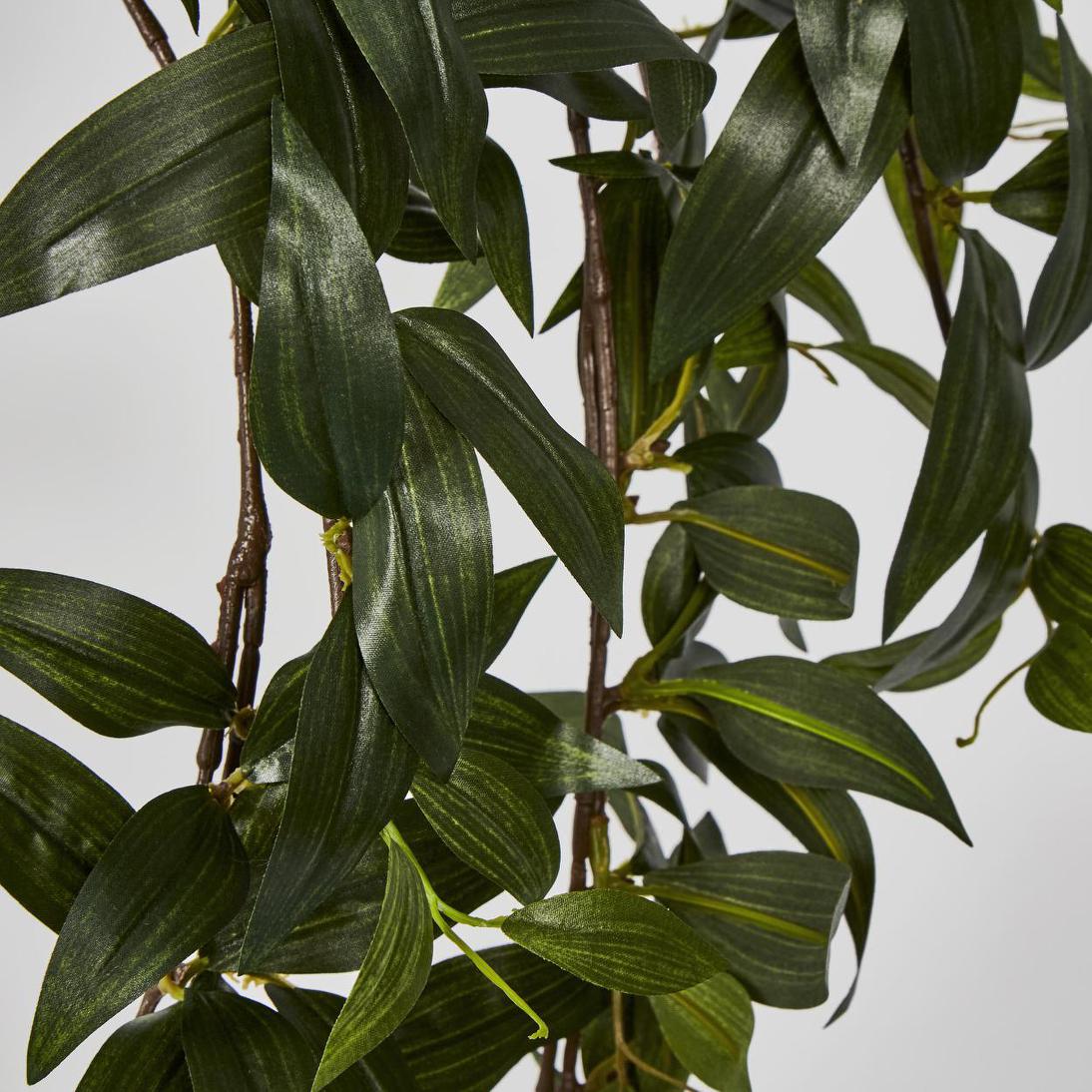 Japanese Bamboo Hanging Bush Green