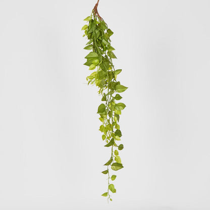 Hanging Green Philo 101cm