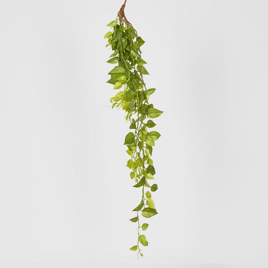 Hanging Green Philo 101cm