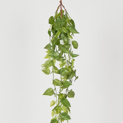 Hanging Green Philo 101cm
