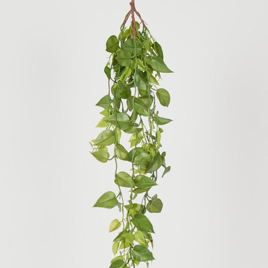 Hanging Green Philo 101cm