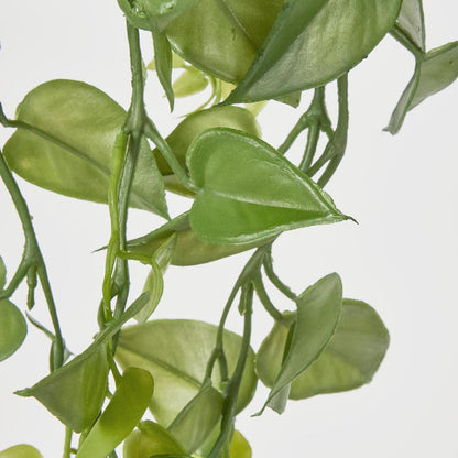 Hanging Green Philo 101cm