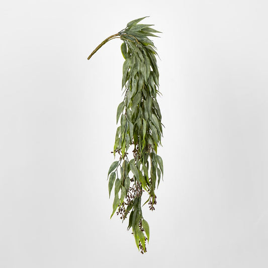 Seeded Hanging Eucalyptus Bush