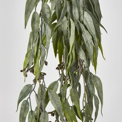 Seeded Hanging Eucalyptus Bush