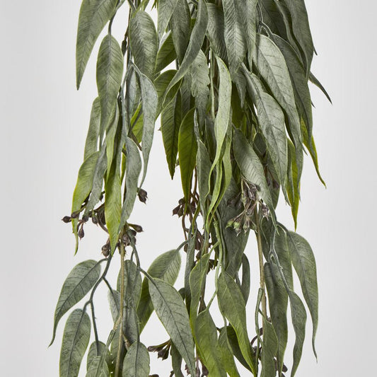 Seeded Hanging Eucalyptus Bush