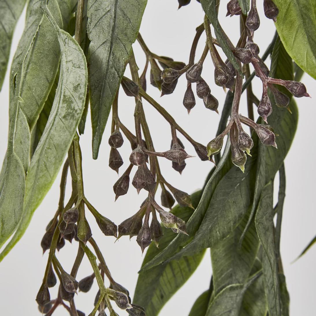 Seeded Hanging Eucalyptus Bush