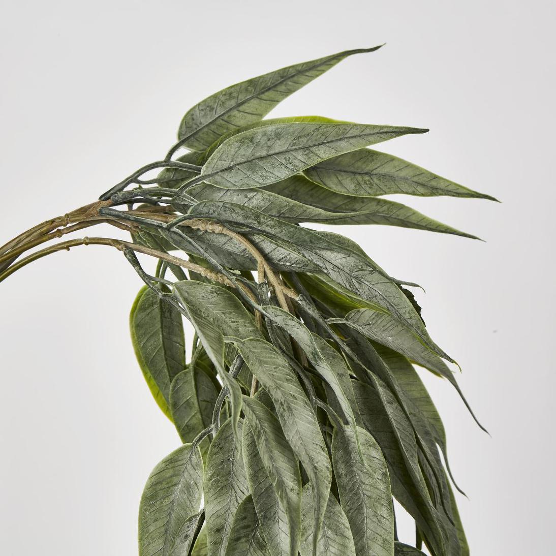 Seeded Hanging Eucalyptus Bush