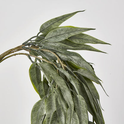 Seeded Hanging Eucalyptus Bush