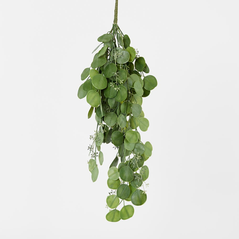 Hanging Green Eucalyptus Leaf Bush