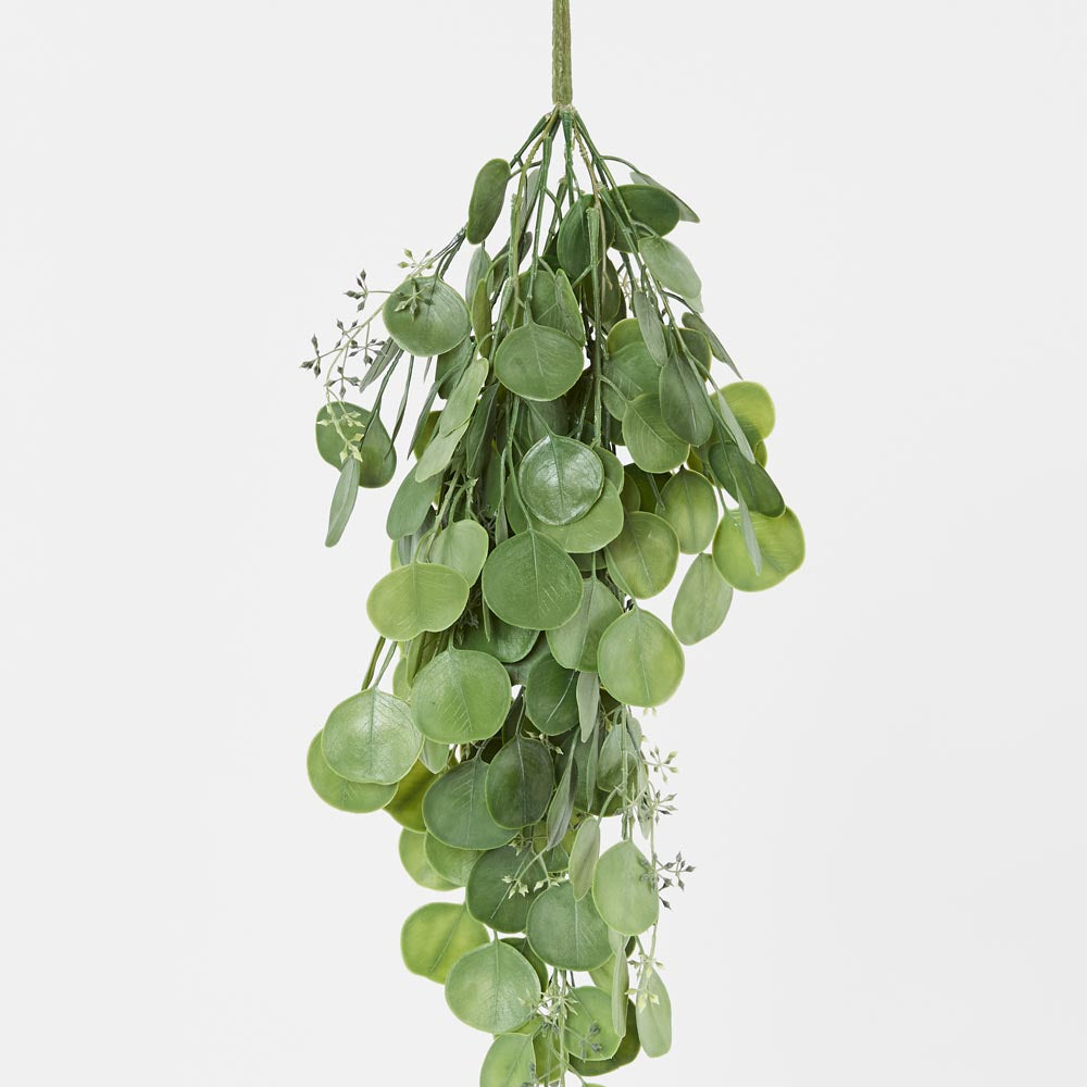 Hanging Green Eucalyptus Leaf Bush