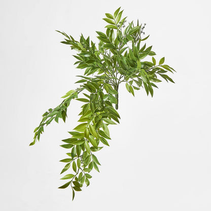 Hanging Ruscus Bush with Seeds