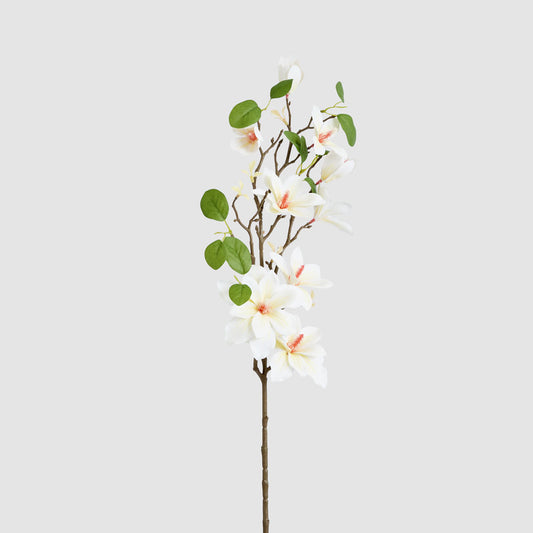 Magnolia Pearl Spray White