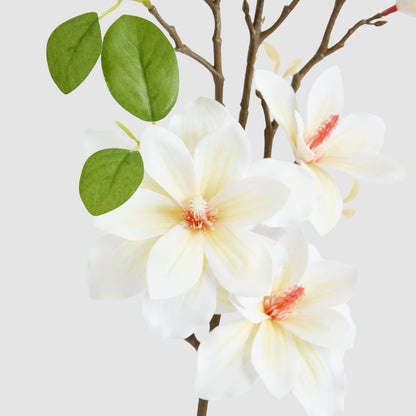 Magnolia Pearl Spray White
