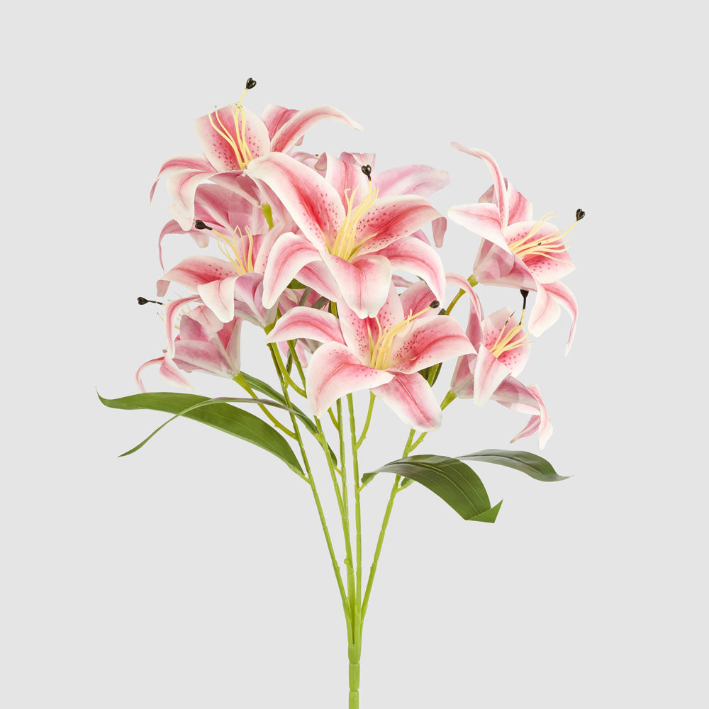 Casablanca Lily Bunch Pink – Florabelle Living