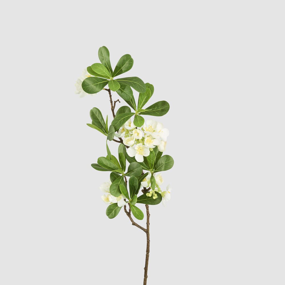 Leafy Blossom Floral Stem White