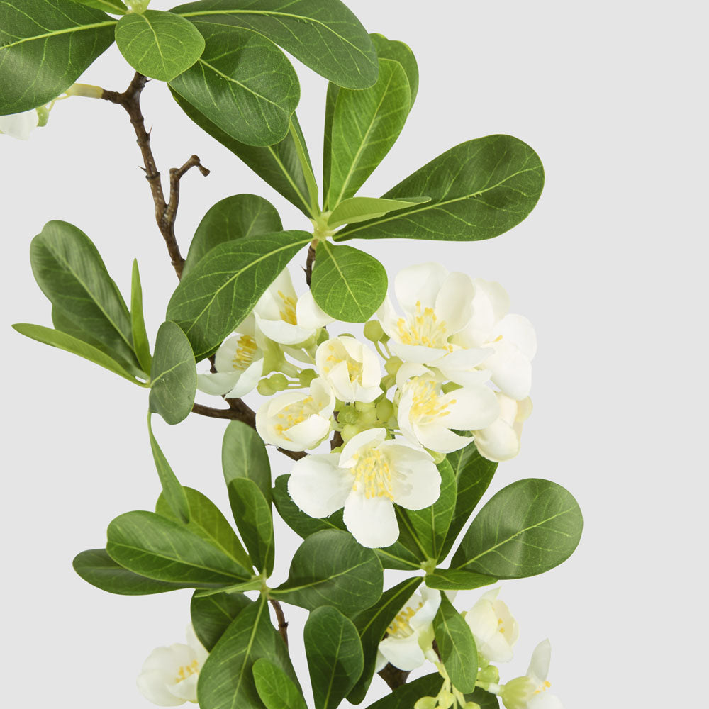 Leafy Blossom Floral Stem White