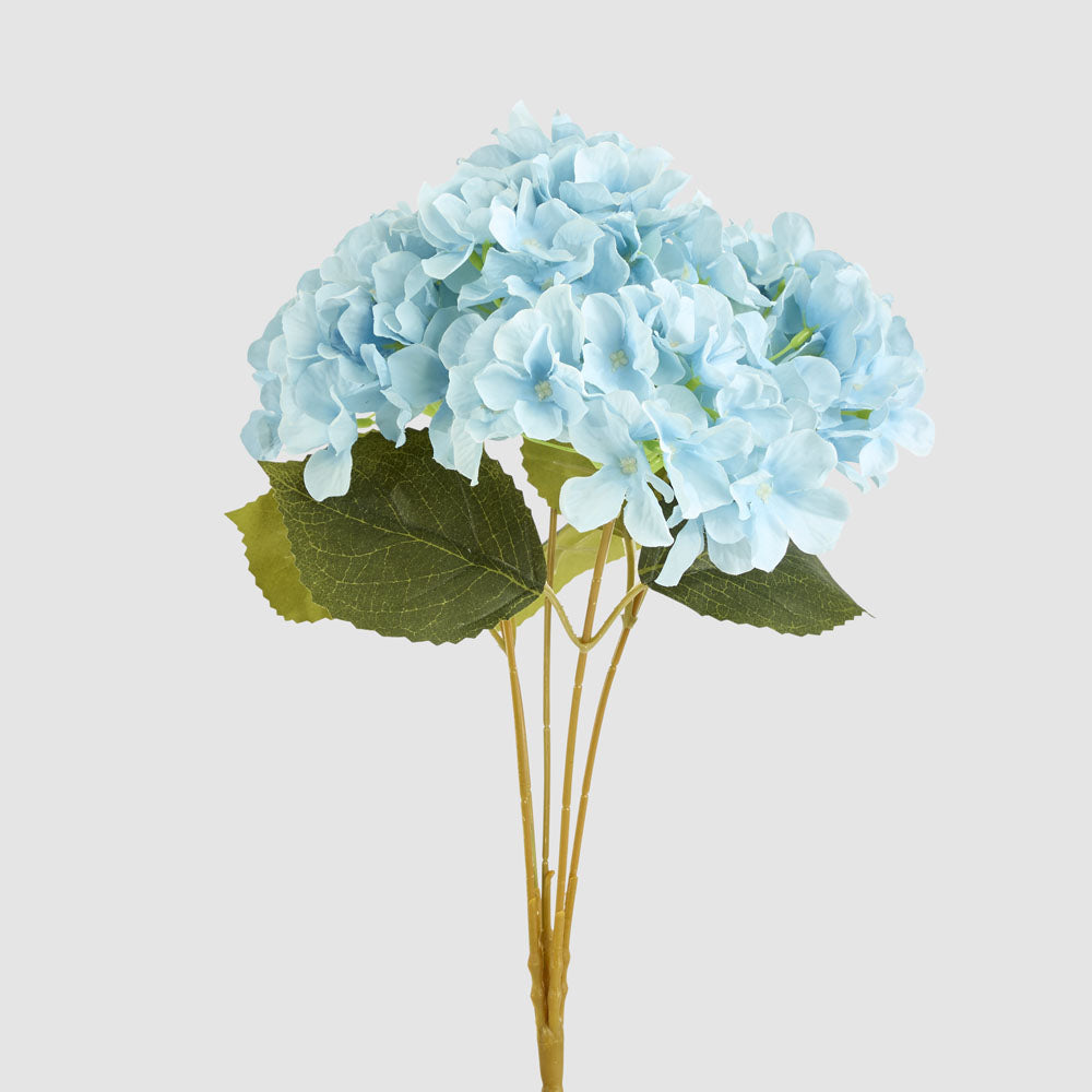 Hydrangea Buch With 5 Heads Blue
