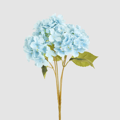 Hydrangea Buch With 5 Heads Blue