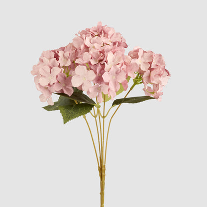 Hydrangea Buch With 5 Heads Pink