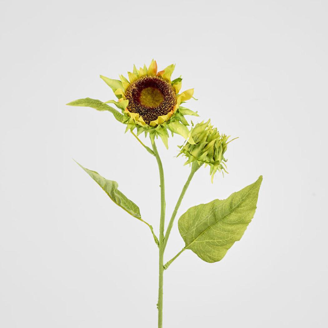 Seeding Sunflower Floral Stem – Florabelle Living
