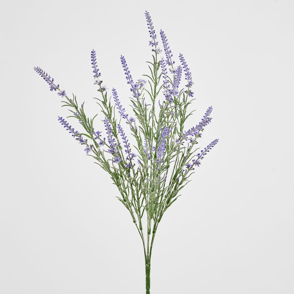 Lavender Spray Purple
