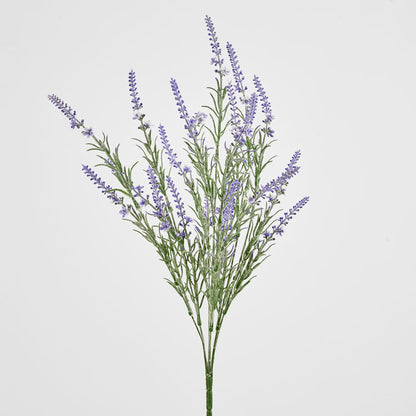Lavender Spray Purple