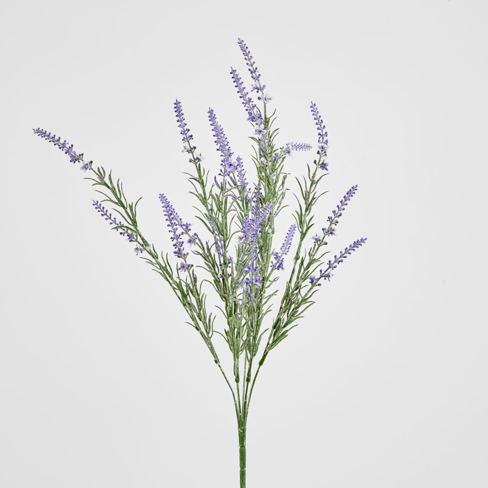 Lavender Spray Purple