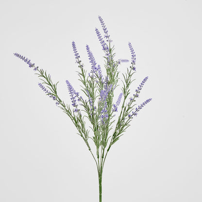Lavender Spray Purple