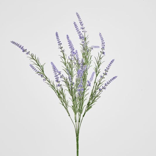 Lavender Spray Purple