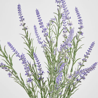 Lavender Spray Purple