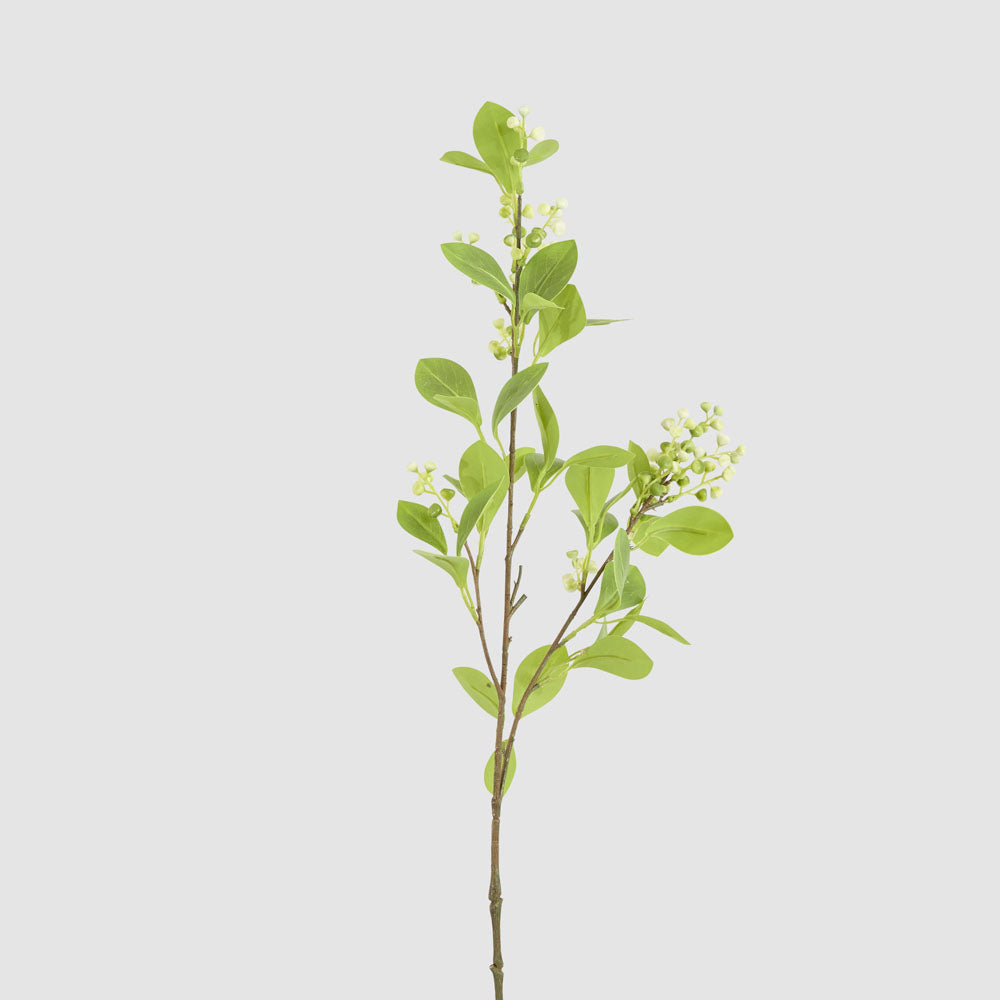 White Berry With Leaf Stem