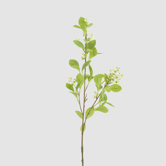 White Berry With Leaf Stem