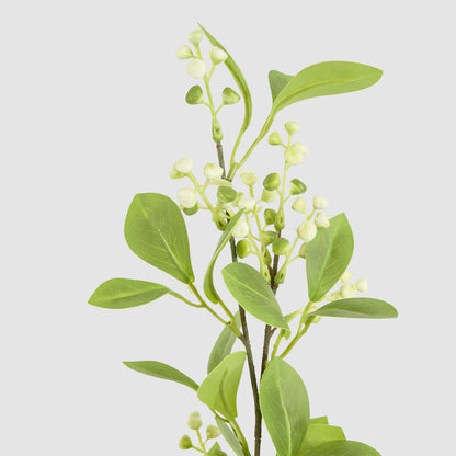 White Berry With Leaf Stem