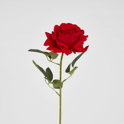 Garden Rose Stem Red