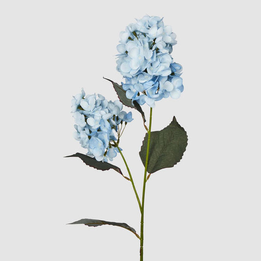 Light Blue Cone Hydrangea 93cm
