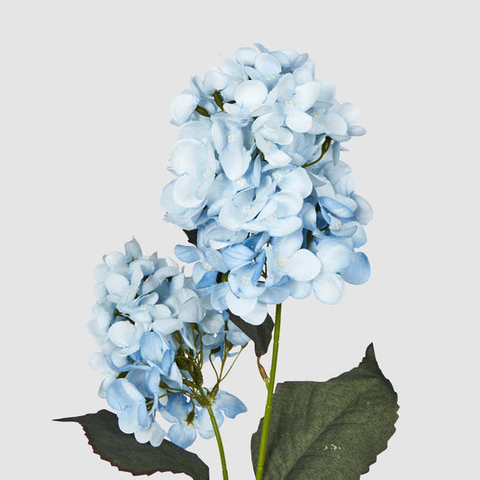 Light Blue Cone Hydrangea 93cm